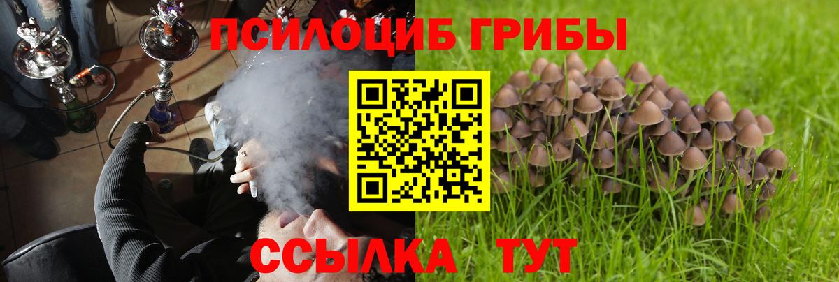 Спасск-Дальний  Псилоцибиновые грибы Psilocybe  Вход с VPN 